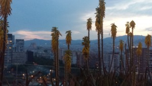 Evening view of Barcelona - May 2017